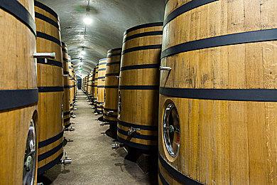 受疫情影响  《戴森球计划》官方宣布更新将延期